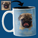Recherche de carlins tasses Dogs