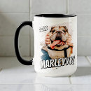 Recherche de chiens et chats tasses Pour amoureux des chiens