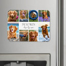 Recherche de du chien magnets Pour animaux