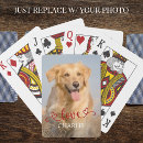 Recherche de chien jeux de cartes Pour tous