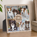 Recherche de empreintes de pattes plaques Dogs