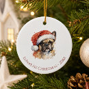 Recherche de french bulldog ornements Pour animaux