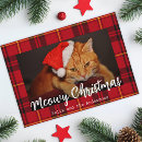 Recherche de felin vœux cartes Cats