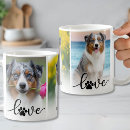 Recherche de amour chaton tasses Pour tous
