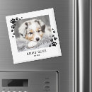 Recherche de chat blanc magnets Pour animaux