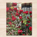 Recherche de rose rouge puzzles Pour tous