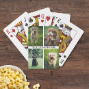 Recherche de chiens jeux de cartes Pour animaux
