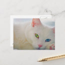 Recherche de animaux cartes postales Amour