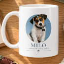 Recherche de chiot drôle tasses Pour animaux