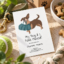 Recherche de chien teckel invitations Nous avons déménagé