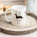 Recherche de chiot teckel tasses Pour animaux