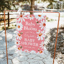 Recherche de marguerites blanches posters Rose