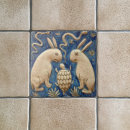 Recherche de lapin blanc carreaux Bleu et blanc