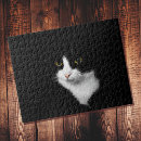 Recherche de chat noir blanc puzzles Animal de compagnie