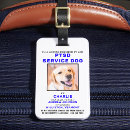Recherche de chien bagages étiquettes Pour animaux