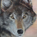 Recherche de portrait gris loups loups gris puzzles Pour tous