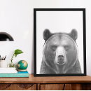 Recherche de ours blancs posters Animal