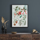 Recherche de arbre plante posters Botanique