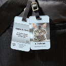 Recherche de humour de chat bagages étiquettes Chaton