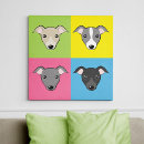 Recherche de whippet art Iggy