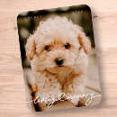 Recherche de pet memorial magnets Funérailles