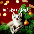 Recherche de bauble christmas vœux cartes Pour elle