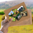 Recherche de african elephant cartes postales Afrique