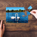 Recherche de cygnes puzzles Photographie