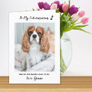 Recherche de bébé chat vœux cartes Dog