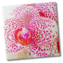 Recherche de orchidée rose carreaux Élégant