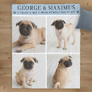 Recherche de animal photo blankets Dogs