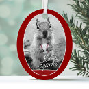 Recherche de écureuil de ornements Champions