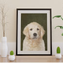 Recherche de golden retriever posters Amoureux des chiens