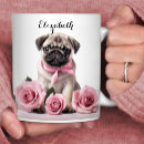 Recherche de chiots de carlin tasses Pour elle