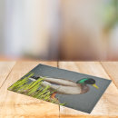 Recherche de de canard de canard ustensiles cuisine Animaux