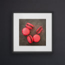 Recherche de rose macro posters Photographe