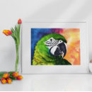 Recherche de perroquet vert posters Coloré
