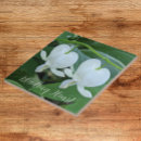 Recherche de floor carreaux Floral