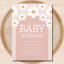 Recherche de marguerite rose invitations Bébé en fleurs