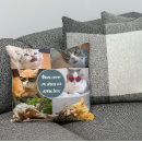 Recherche de cute cat coussins Animal