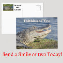 Recherche de sourire cartes postales Humoristique