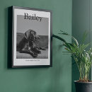 Recherche de perte de chien posters Portrait