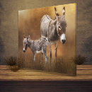 Recherche de âne impressions sur toile Cheval
