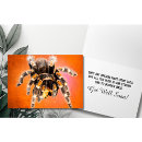 Recherche de planes orange vœux cartes Photographie