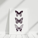 Recherche de papillon blanc posters Pour tous