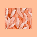 Recherche de plumes cartes postales Passage