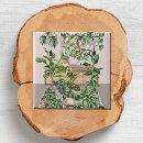 Recherche de plantes badges Plante d'intérieur