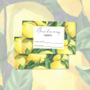 Recherche de baisses de citron Aquarelle