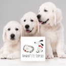 Recherche de se reposer cartes visite Toilettage