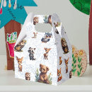 Recherche de ratons laveurs ballotins Forêt